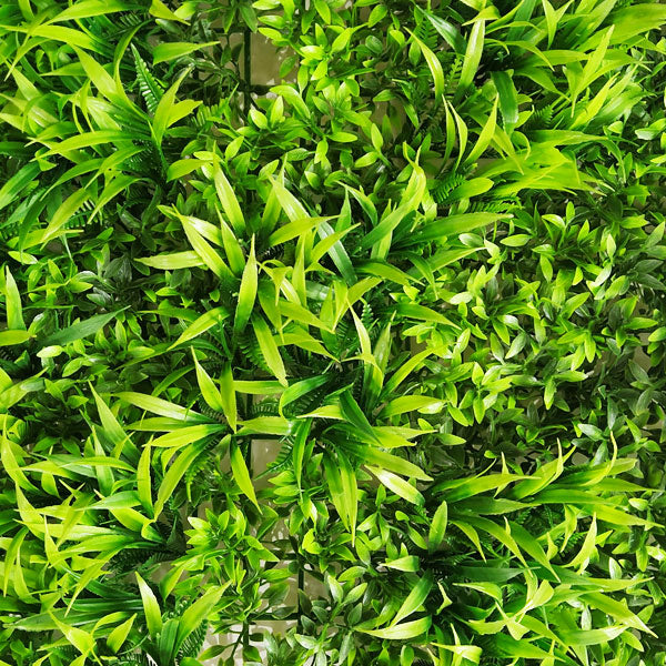 vertical wall panels- Cryptocoryne Lucens