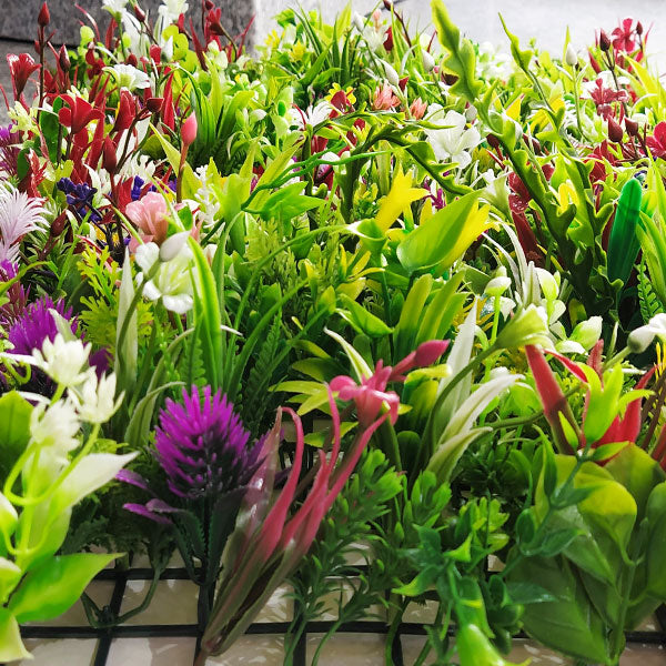 Multicolour -Nurserynature