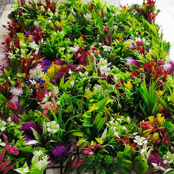 Multicolour -Nurserynature