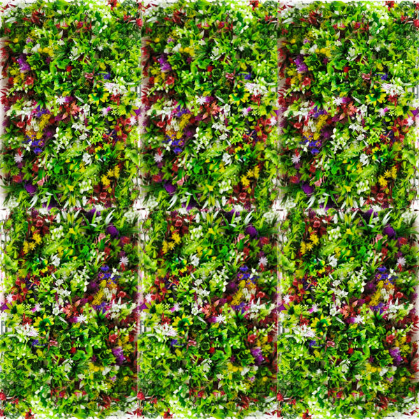 Multicolour -Nurserynature
