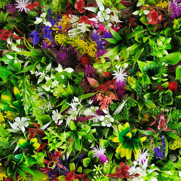 Multicolour -Nurserynature